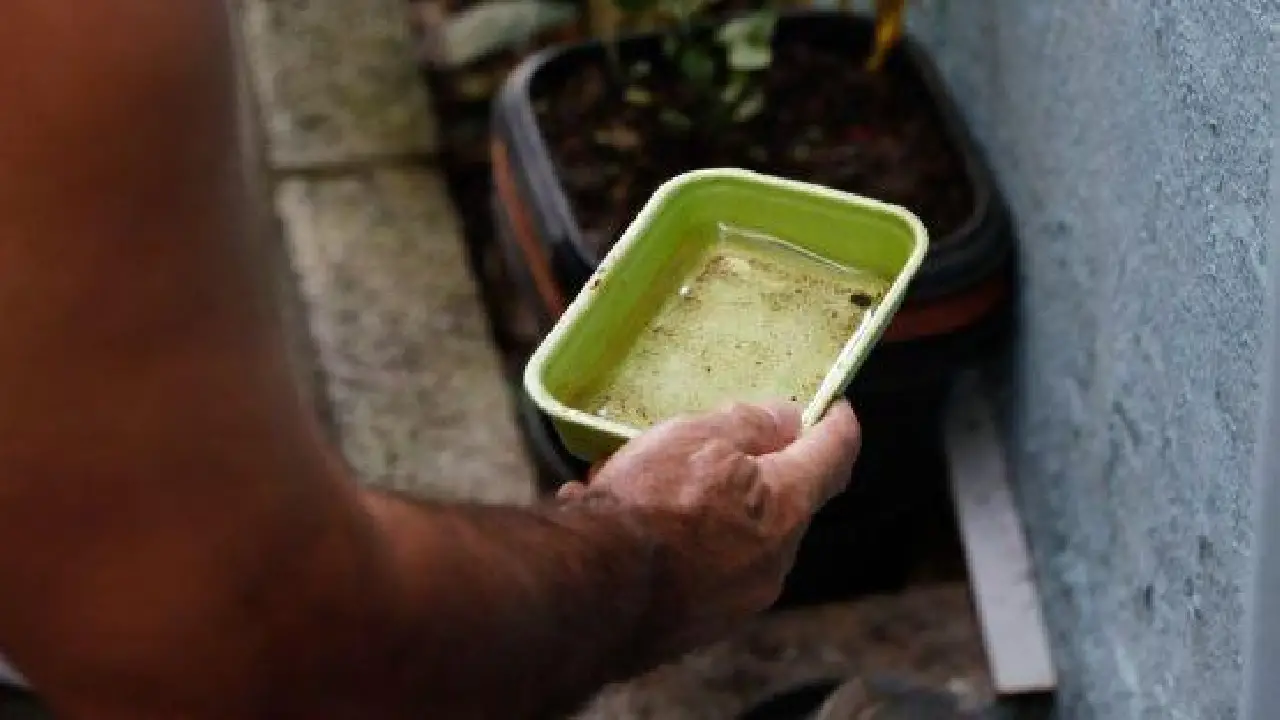 BAHIA REGISTRA QUEDA DE 41% NOS CASOS DE DENGUE EM 2026