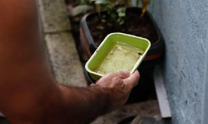 BAHIA REGISTRA QUEDA DE 41% NOS CASOS DE DENGUE EM 2026