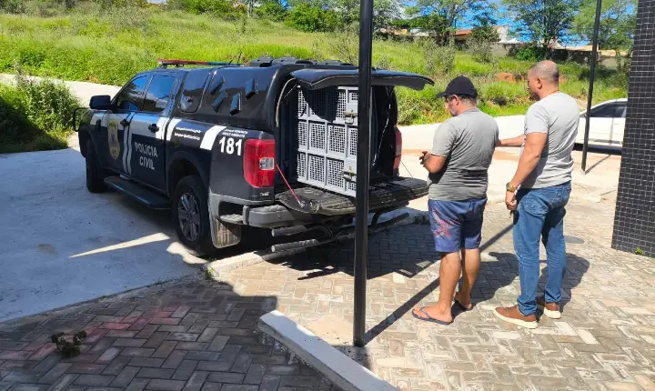 POLÍCIA CIVIL CUMPRE MANDADO DE PRISÃO CONTRA SUSPEITO DE ROUBOS, FURTOS E RECEPTAÇÃO NA CIDADE DE JEQUIÉ