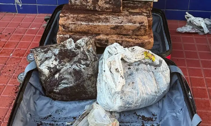 PRF APREENDE QUASE 14 KG DE COCAÍNA EM ÔNIBUS NA BR-116, EM JEQUIÉ.