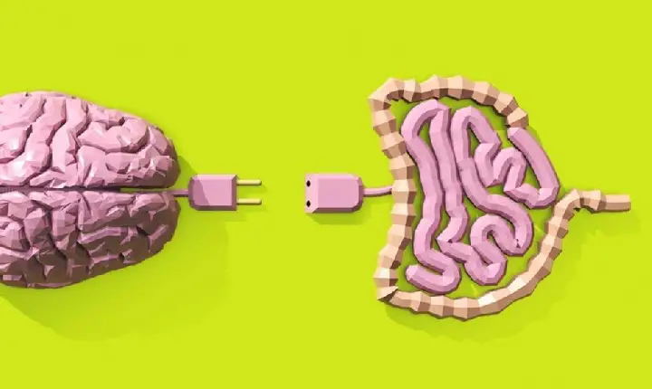 SEGUNDO CÉREBRO: NEUROCIENTISTA EXPLICA COMO A SAÚDE DO INTESTINO DEFINE O HUMOR, O SONO E A ENERGIA DIÁRIA