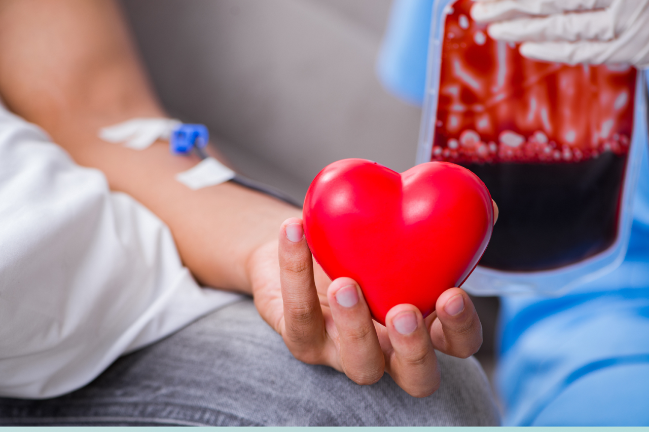 JUNHO VERMELHO: REDE DE FARMÁCIAS INCENTIVA COLABORADORES A DOAR SANGUE