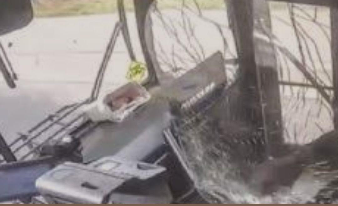 POLICIAL DE JEQUIÉ FRUSTRA TENTATIVA DE ASSALTO A ÔNIBUS NA BR 330