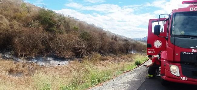 BOMBEIROS DO 8º BBM SÃO ACIONADOS PARA CONTER FOCOS DE INCÊNDIO EM VEGETAÇÃO NAS MARGENS DO SEMIANEL VIÁRIO DE JEQUIÉ