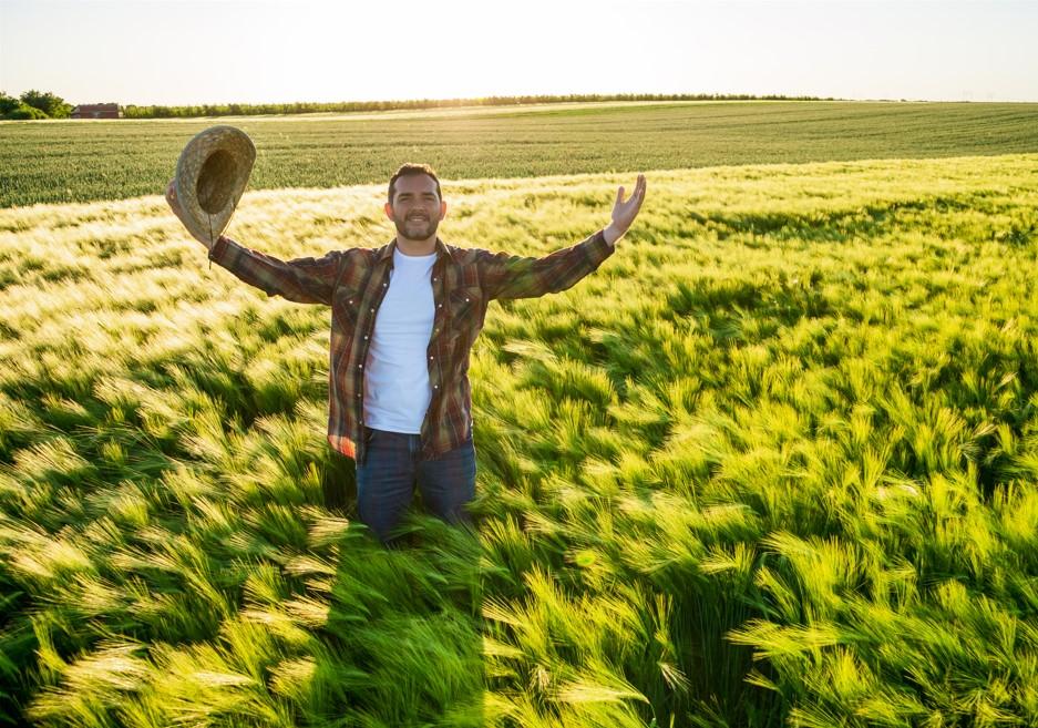 COM US$ 11,72 BILHÕES EM EXPORTAÇÕES, AGRONEGÓCIO BRASILEIRO BATE RECORDE EM JANEIRO 2024