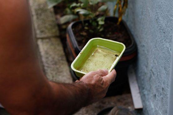 VITÓRIA DA CONQUISTA SEGUE NO TOPO DE CASOS PROVÁVEIS DE DENGUE NA BAHIA