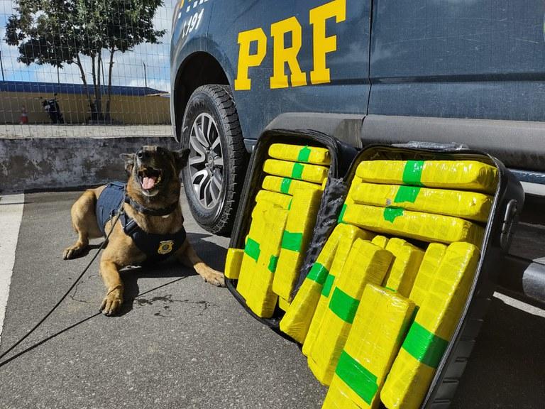 MAIS DE 22 KG DE MACONHA SÃO APREENDIDOS PELA PRF DURANTE ABORDAGEM A ÔNIBUS EM VITÓRIA DA CONQUISTA