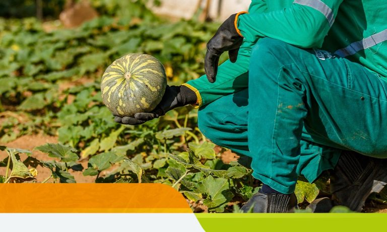 BAMIN REALIZA EVENTO PARA IMPULSIONAR MICROEMPREENDEDORES NO INTERIOR DA BAHIA