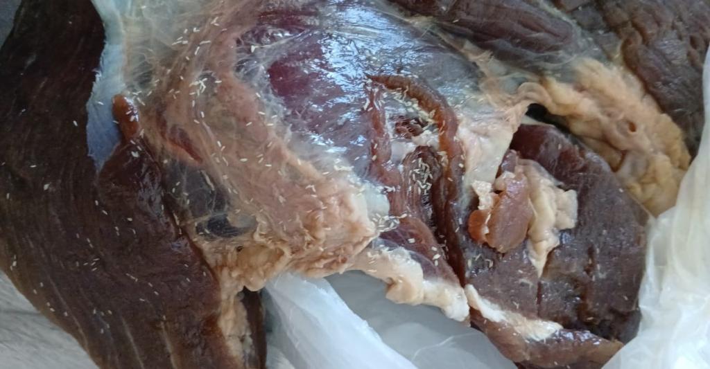 CARNE ESTRAGADA É VENDIDA EM AÇOUGUES DE JEQUIÉ