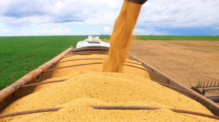 IBGE E CONAB ESTIMAM AUMENTO PARA A PRÓXIMA SAFRA DE GRÃOS