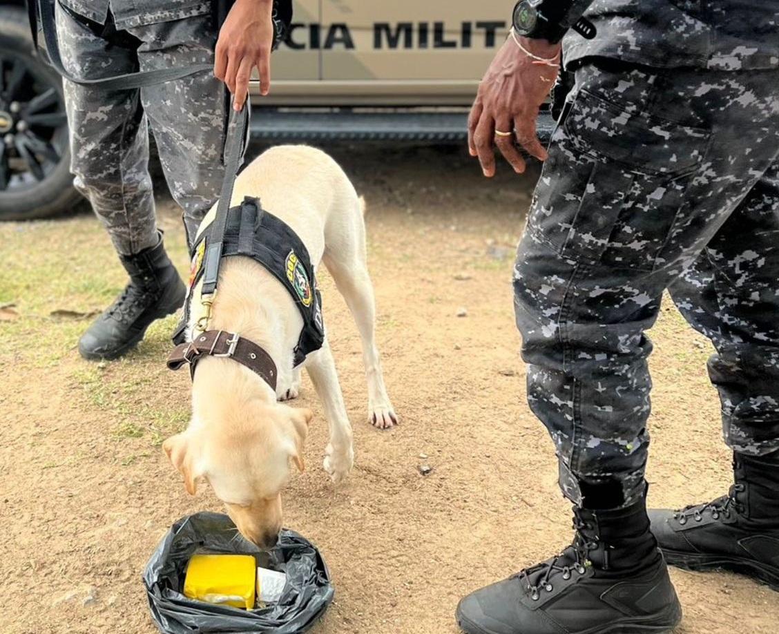 COM CANIS DO BATALHÃO DE CHOQUE E DA CORE, OPERAÇÃO CERCO ENCONTRA DROGAS E APROFUNDA BUSCAS EM ÁREA DE MATA