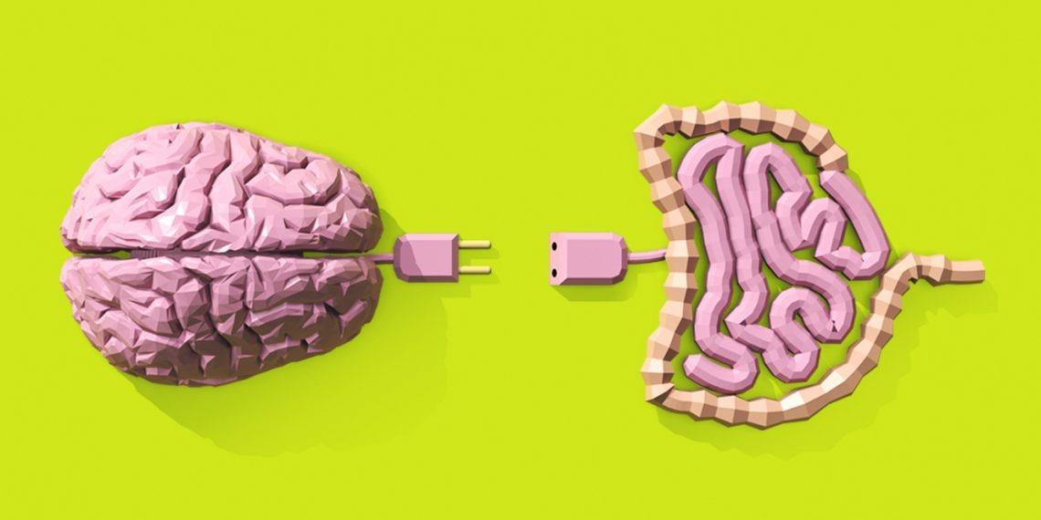 SEGUNDO CÉREBRO: NEUROCIENTISTA EXPLICA COMO A SAÚDE DO INTESTINO DEFINE O HUMOR, O SONO E A ENERGIA DIÁRIA